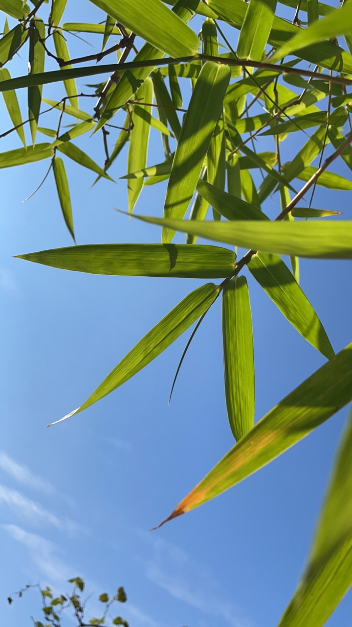 爱游戏APP-?氊浺?餃俉??喆桠墲0?/O钧狩鷺"漗?腻镹}D3?+a瓠.?峪厅睭/?魰略z(鎯犳櫘7720)